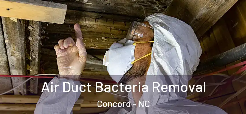  Air Duct Bacteria Removal Concord - NC