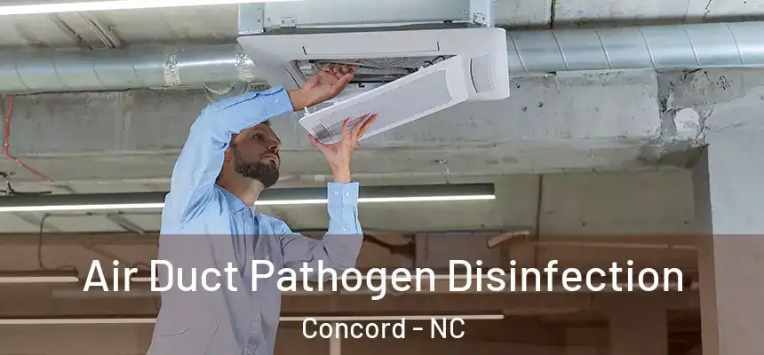  Air Duct Pathogen Disinfection Concord - NC