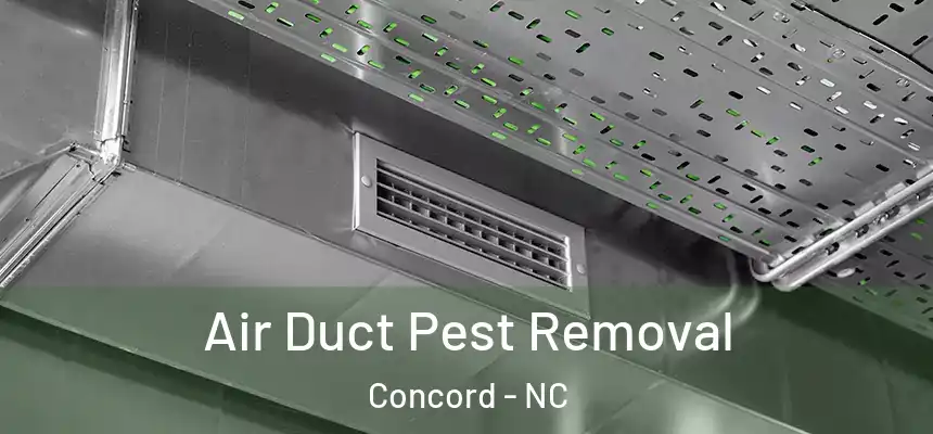  Air Duct Pest Removal Concord - NC