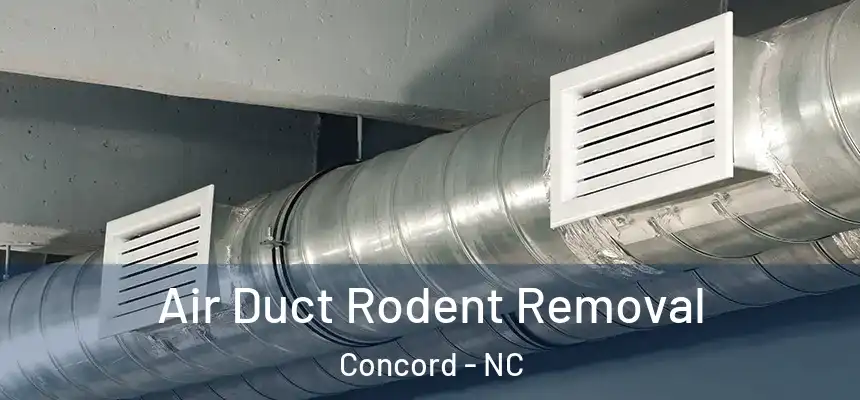  Air Duct Rodent Removal Concord - NC