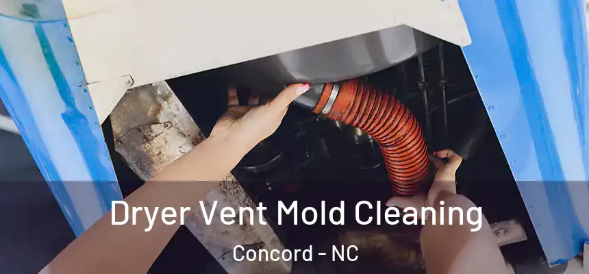 Dryer Vent Mold Cleaning Concord - NC