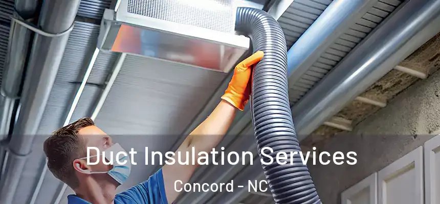  Duct Insulation Services Concord - NC