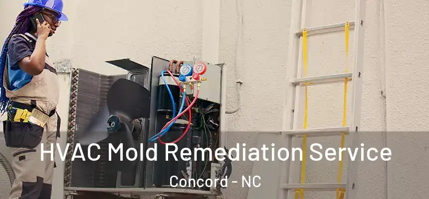  HVAC Mold Remediation Service Concord - NC