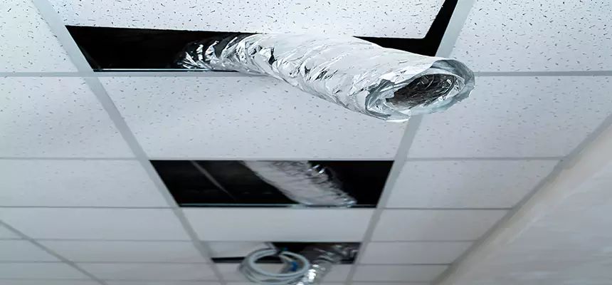 Our Air Duct Pet Hair Removal Services in Concord, NC