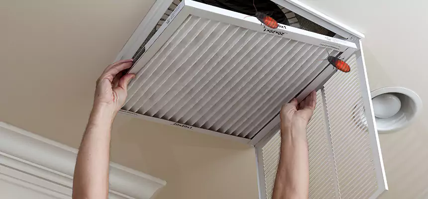 Our Insect Removal from Air Ducts Services in Concord, NC