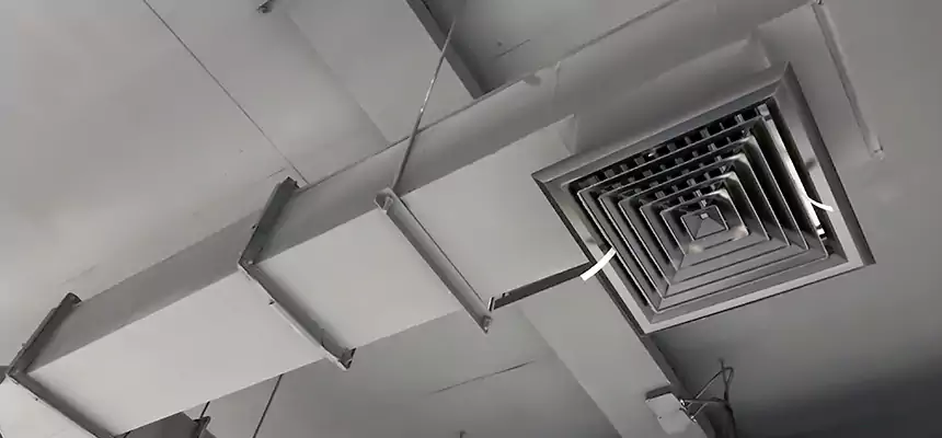 Our Rodent Droppings In Vents Services in Concord, NC