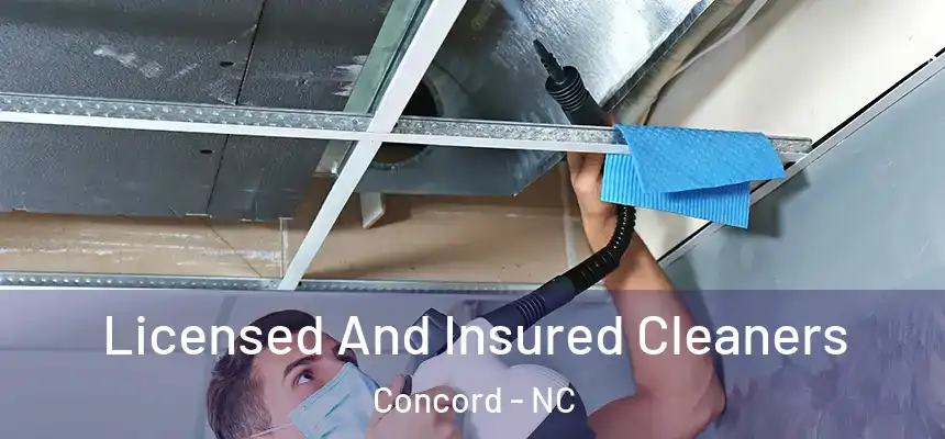  Licensed And Insured Cleaners Concord - NC
