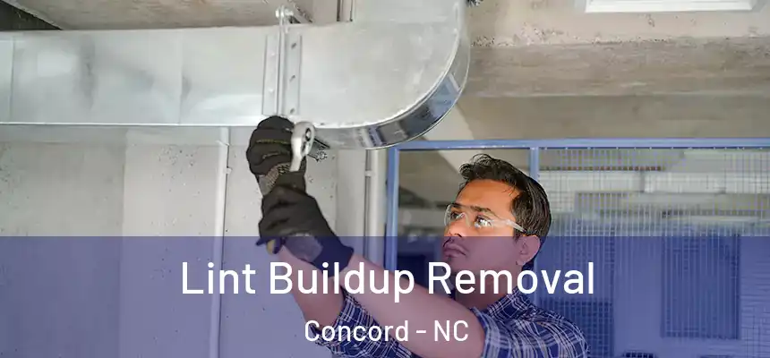Lint Buildup Removal Concord - NC