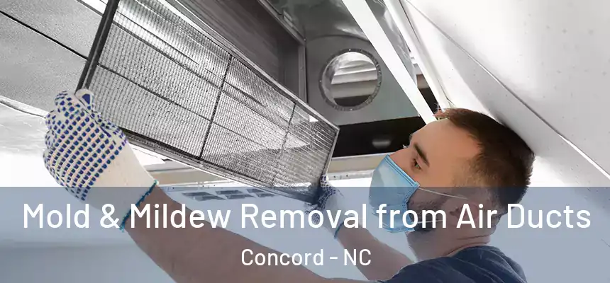  Mold & Mildew Removal from Air Ducts Concord - NC