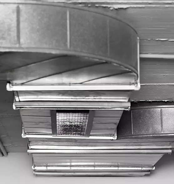 Professional Air Duct Pest Removal in Concord, NC