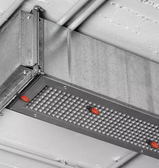 Affordable Insect Removal from Air Ducts in Concord, NC