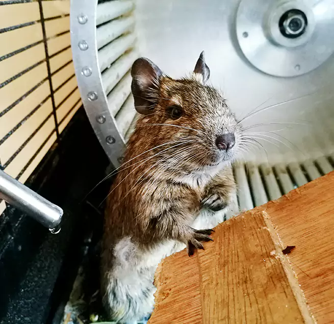 Why Homeowners & Businesses Trust Us Concord, NC